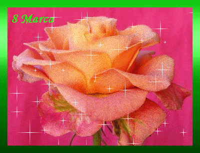 Pomarańczowa błyszcząca róża na dzień kobiet